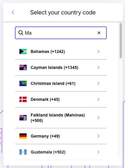 Screenshot 2024-03-20 at 8.04.32 AM.png